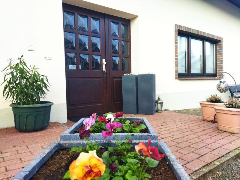 Apartment Familie Pohle *